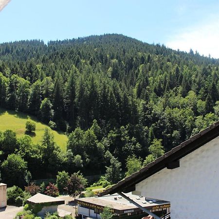 Ferienwohnung Schwarzwaldblick Bad Rippoldsau-Schapbach Zewnętrze zdjęcie