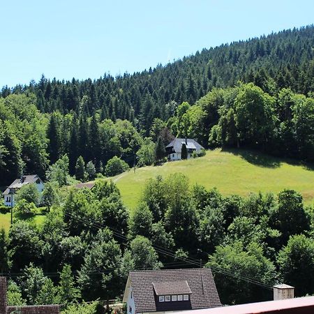 Ferienwohnung Schwarzwaldblick Bad Rippoldsau-Schapbach Zewnętrze zdjęcie