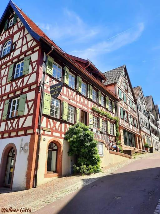 Ferienwohnung Schwarzwaldblick Bad Rippoldsau-Schapbach Zewnętrze zdjęcie
