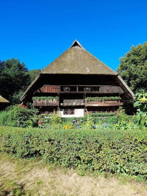 Ferienwohnung Schwarzwaldblick Bad Rippoldsau-Schapbach Zewnętrze zdjęcie