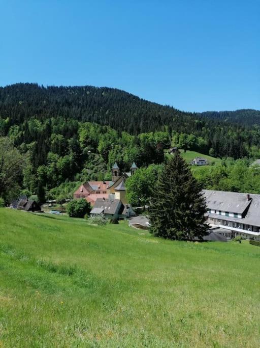 Ferienwohnung Schwarzwaldblick Bad Rippoldsau-Schapbach Zewnętrze zdjęcie