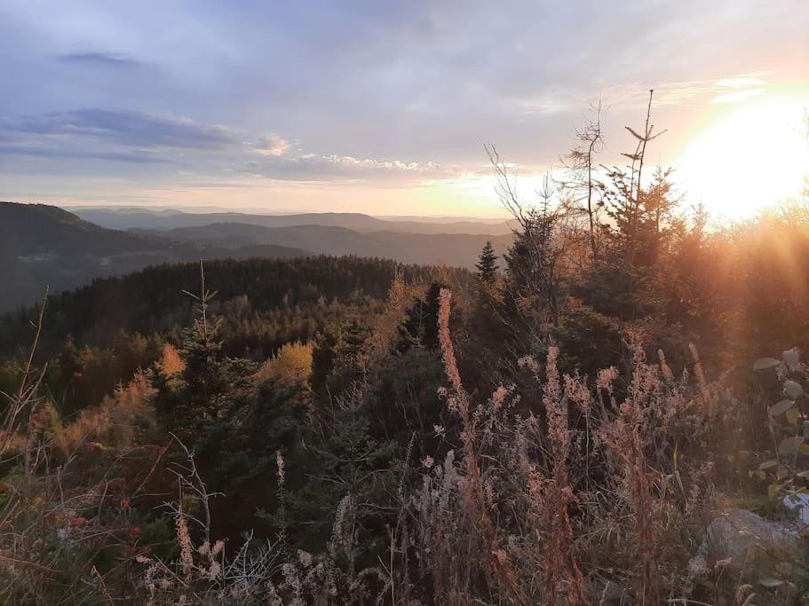 Ferienwohnung Schwarzwaldblick Bad Rippoldsau-Schapbach Zewnętrze zdjęcie