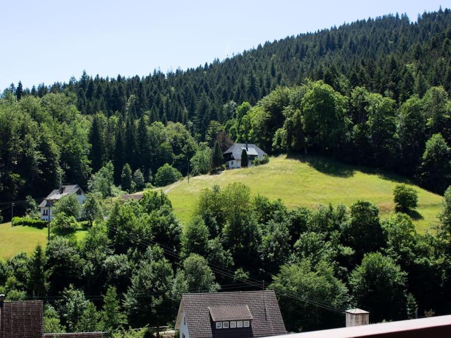 Ferienwohnung Schwarzwaldblick Bad Rippoldsau-Schapbach Zewnętrze zdjęcie