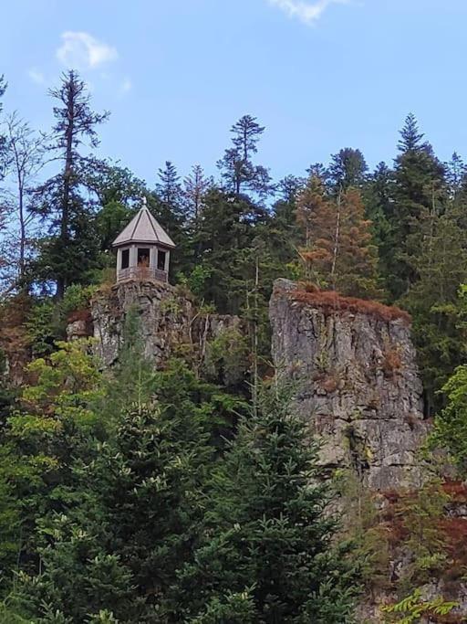 Ferienwohnung Schwarzwaldblick Bad Rippoldsau-Schapbach Zewnętrze zdjęcie