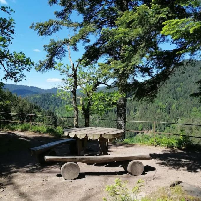 Ferienwohnung Schwarzwaldblick Bad Rippoldsau-Schapbach Zewnętrze zdjęcie
