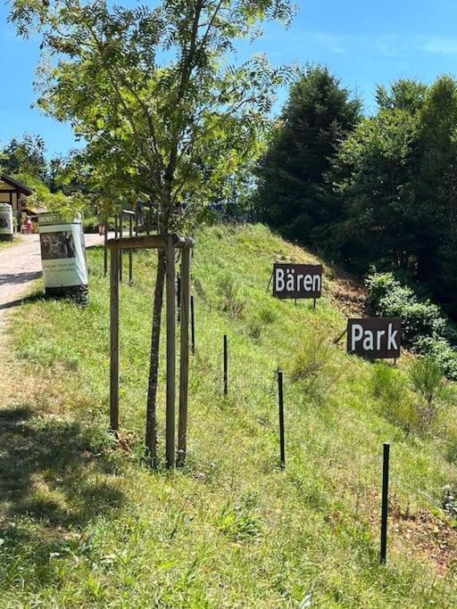 Ferienwohnung Schwarzwaldblick Bad Rippoldsau-Schapbach Zewnętrze zdjęcie