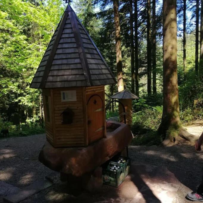 Ferienwohnung Schwarzwaldblick Bad Rippoldsau-Schapbach Zewnętrze zdjęcie