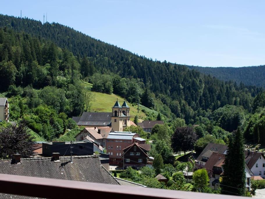Ferienwohnung Schwarzwaldblick Bad Rippoldsau-Schapbach Zewnętrze zdjęcie