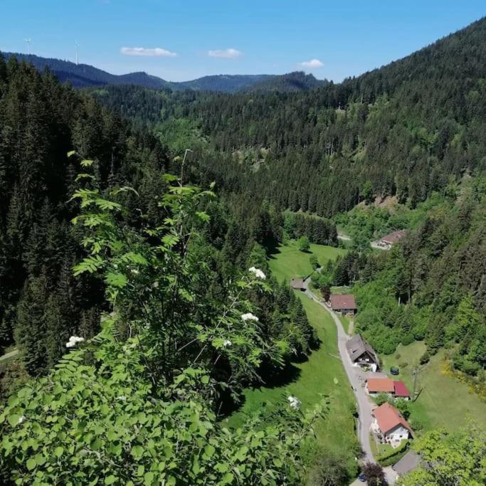 Ferienwohnung Schwarzwaldblick Bad Rippoldsau-Schapbach Zewnętrze zdjęcie