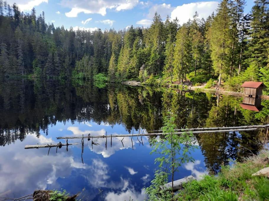 Ferienwohnung Schwarzwaldblick Bad Rippoldsau-Schapbach Zewnętrze zdjęcie
