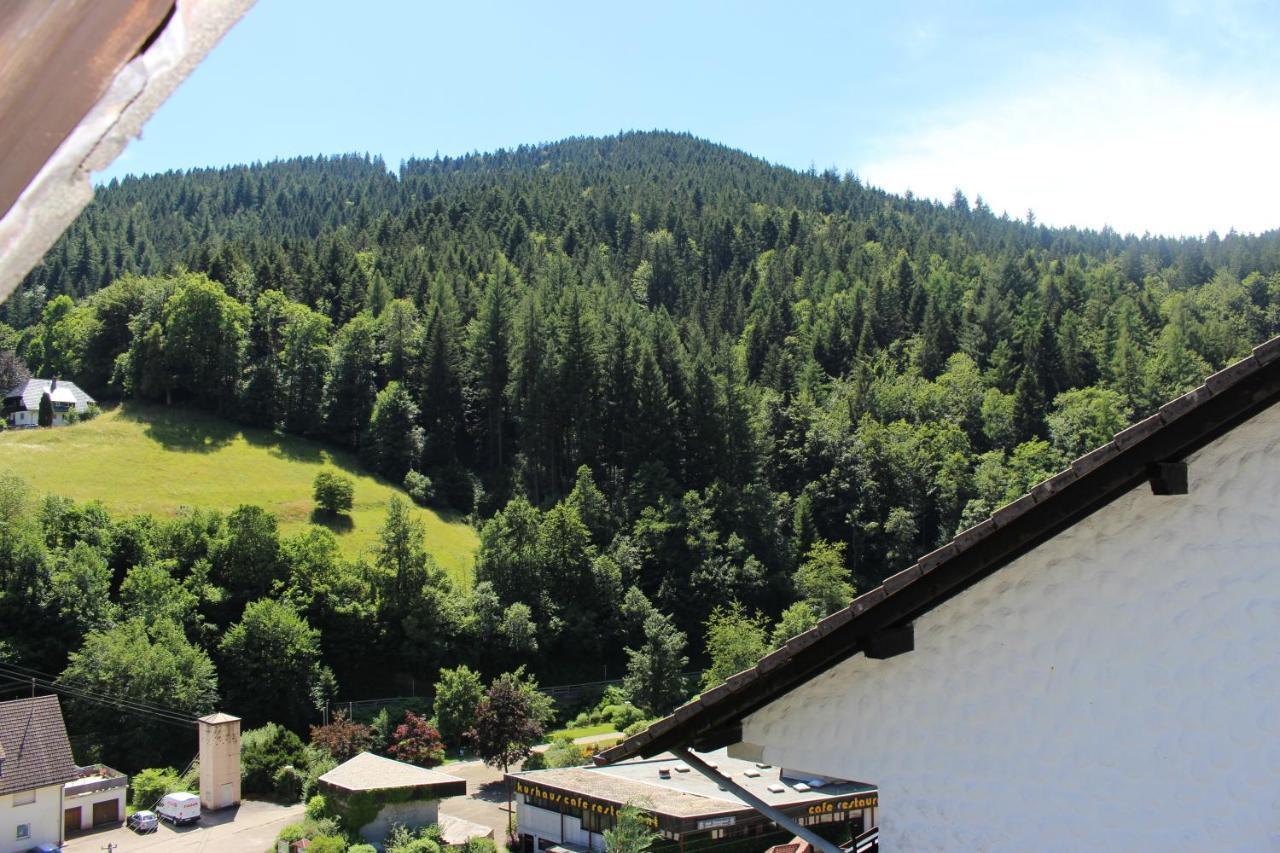 Ferienwohnung Schwarzwaldblick Bad Rippoldsau-Schapbach Zewnętrze zdjęcie